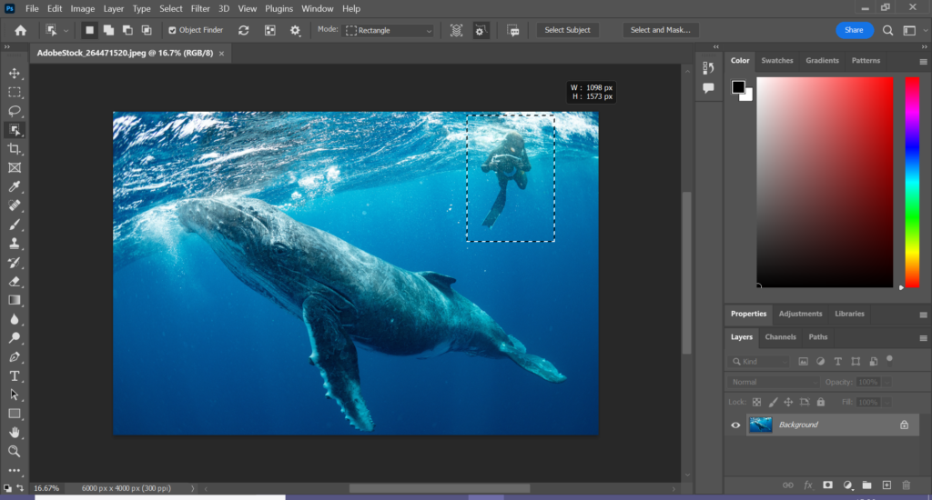 Free Photo Background Remover